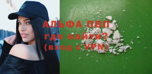индика Нефтегорск