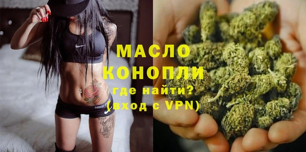 индика Нефтегорск