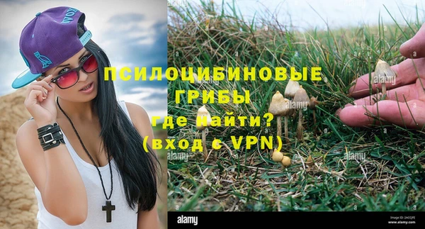 MESCALINE Нефтекумск
