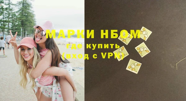 индика Нефтегорск