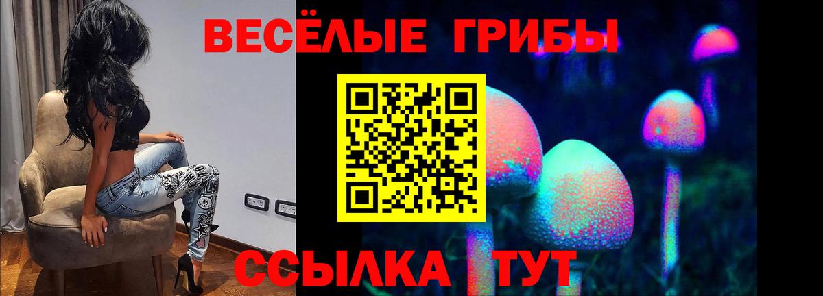Псилоцибиновые грибы Magic Shrooms Кореновск